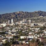 Kedikian Bankruptcy Law