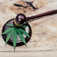 Baghoomian Law ico