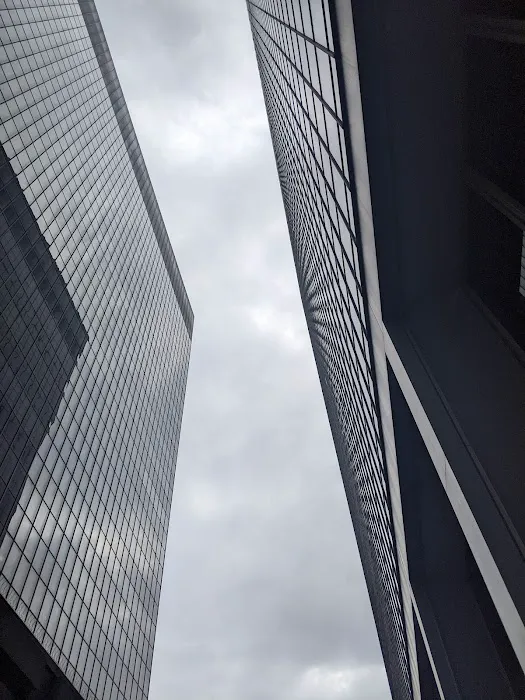 Leichter Law Firm, APC - Employment Attorney in Los Angeles, CA Picture 1