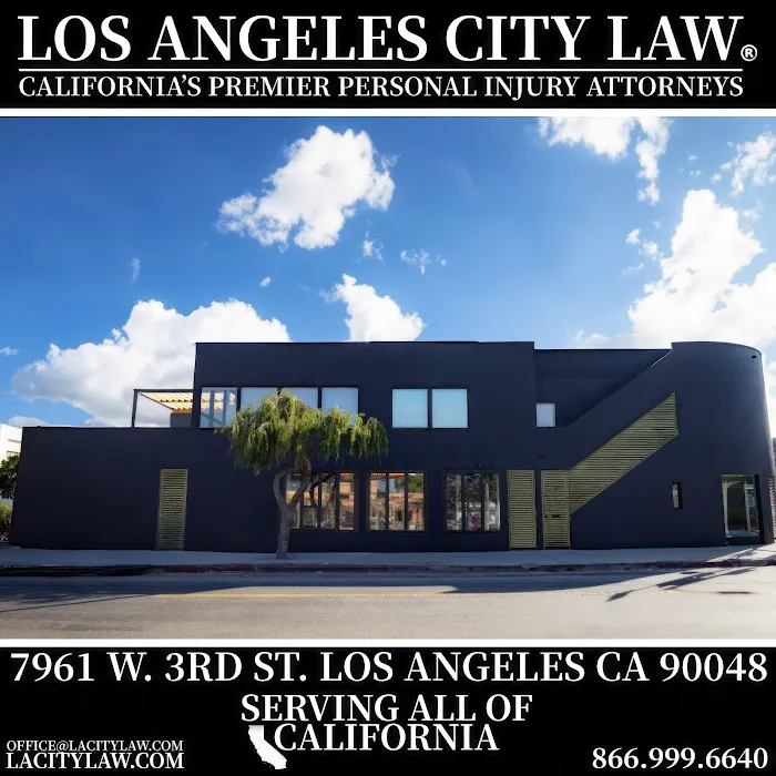 Los Angeles City Law Picture 6