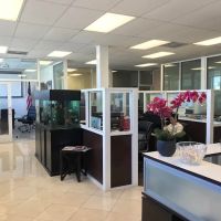 Lara Law Firm ico
