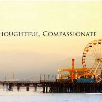 Law Offices of David A. Shapiro, P.C. ico