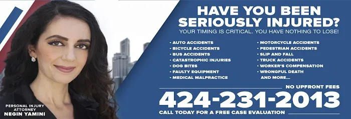 Los Angeles Personal Injury Attorney Picture 1