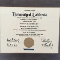 Immediate Juvenile Defense Attorney Patricia Hattersley ico