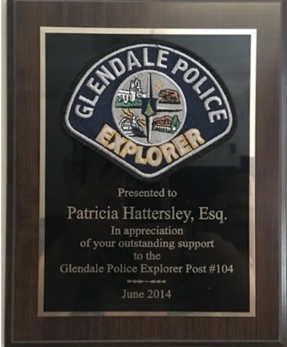 Immediate Juvenile Defense Attorney Patricia Hattersley Picture 4