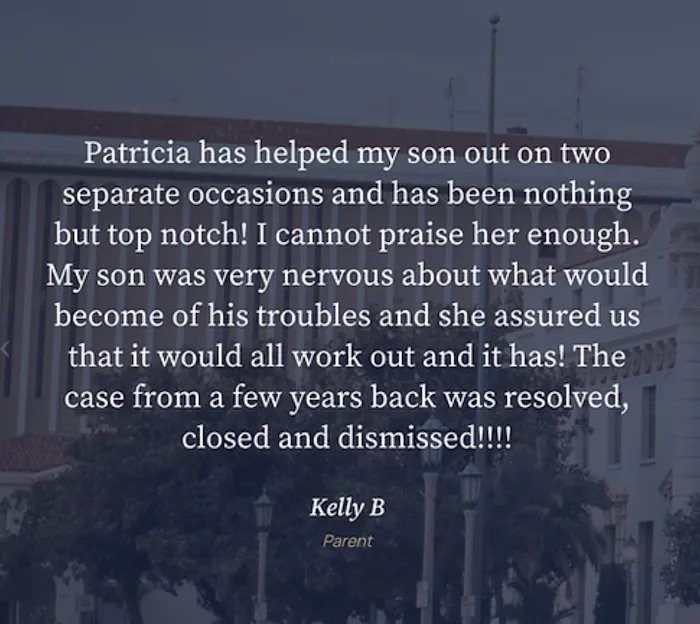 Immediate Juvenile Defense Attorney Patricia Hattersley Picture 3
