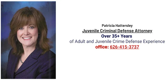 Immediate Criminal Defense and Juvenile Defense Attorney Since 1983 Picture 3