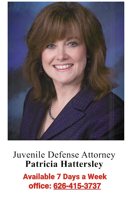 Immediate Criminal Defense and Juvenile Defense Attorney Since 1983 Picture 2