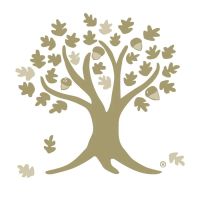 Kavesh, Minor & Otis ico
