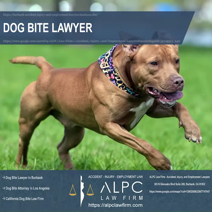 ALPC Law Firm - Accident, Injury, and Employment Lawyers Picture 8