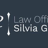 Law Office of Silvia Gonzalez ico