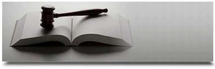 Law Office of Johnny Lai, Inc Picture 1