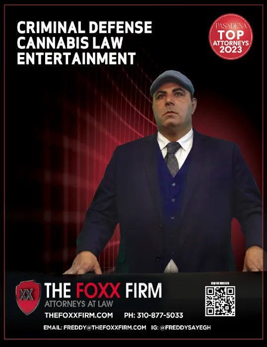 The Foxx Firm Picture 9