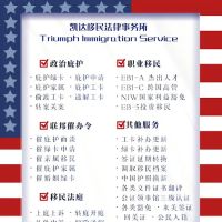 凯达移民法律事务所 Triumph Immigration Service ico