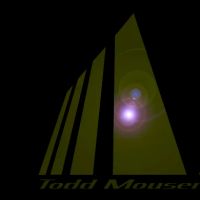 Todd Mouser Law ico