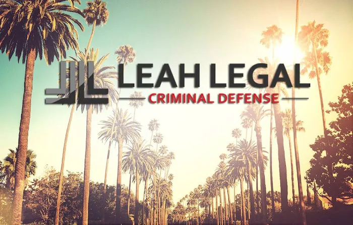 Leah Legal Criminal Defense Picture 5