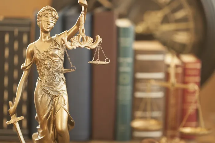 Law Offices of Mark Daniel Melnick Picture 4