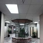 Tabibnia Law Firm