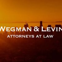 Wegman & Levin ico