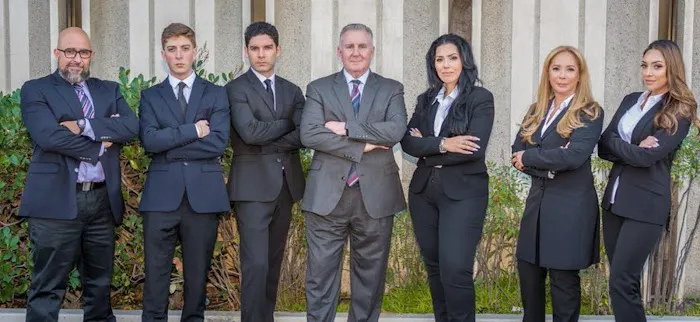 Su Defensa Legal - Abogado Goldstein Picture 4