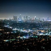 Alvarado Law ico