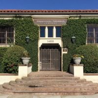 Straussner & Sherman ico
