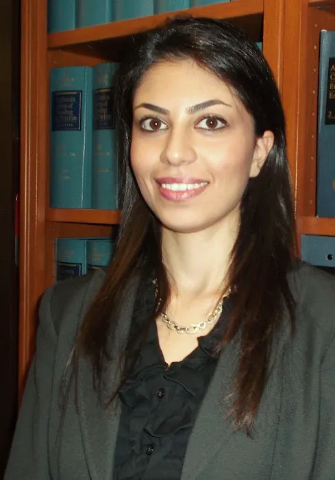 Los Angeles Divorce Lawyer Picture 1