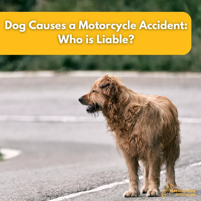 Motorcyclist Attorney Picture 3