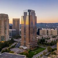 Law Offices of Boris Dalis ico