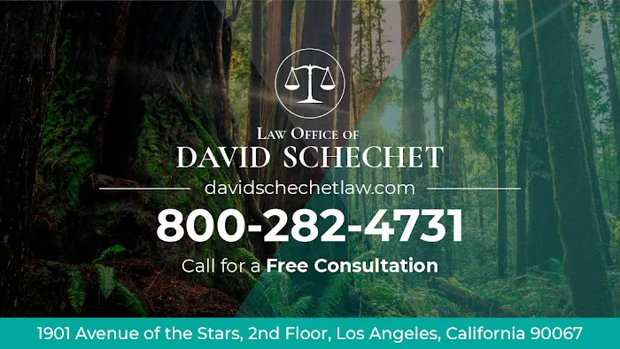 Law Office of David Schechet Picture 2