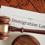The Basics of Immigration Law for Newcomers – Expert Legal Advice