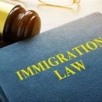 Understanding Immigration Law for Newcomers – Expert Legal Advice