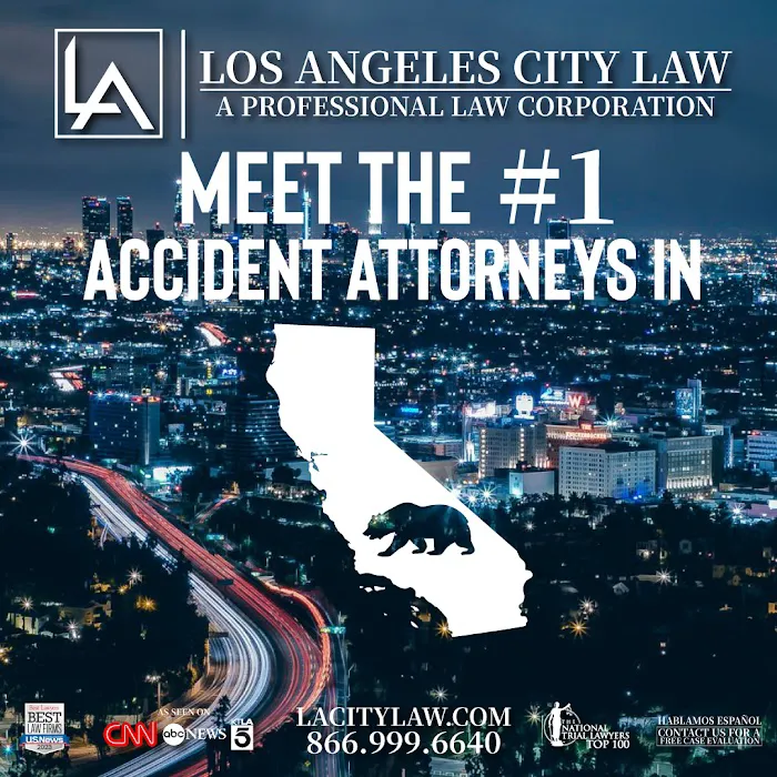Los Angeles City Law Picture 2
