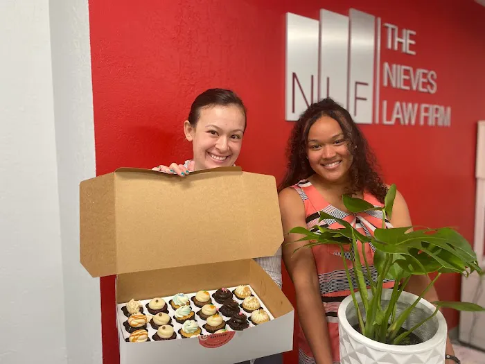 The Nieves Law Firm: San Jose Criminal Defense Attorneys Picture 4