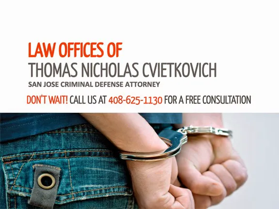 Law Offices of Thomas Nicholas Cvietkovich Picture 9
