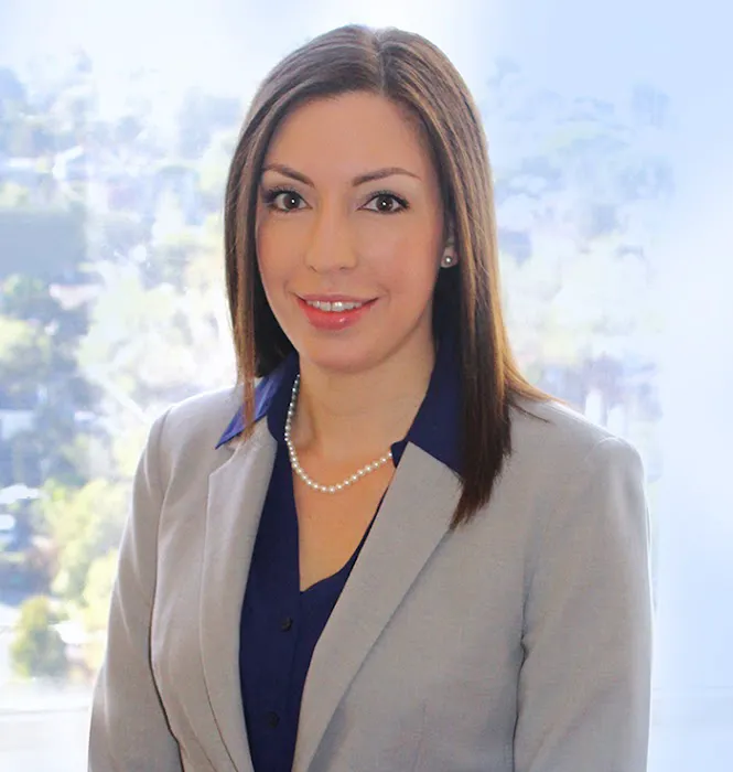 Law Office of Castro & Vindiola Picture 2