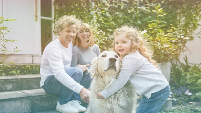 Modern Family Law Picture 1