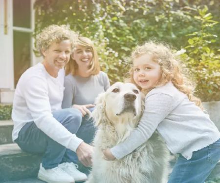 Modern Family Law