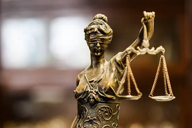 Law Office of Elizabeth Goodley Picture 8