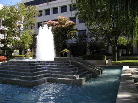 Law Office of Cheri E. Michaelis Picture 2
