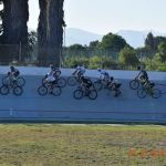 Thomas Forsyth - Bicycle Attorney