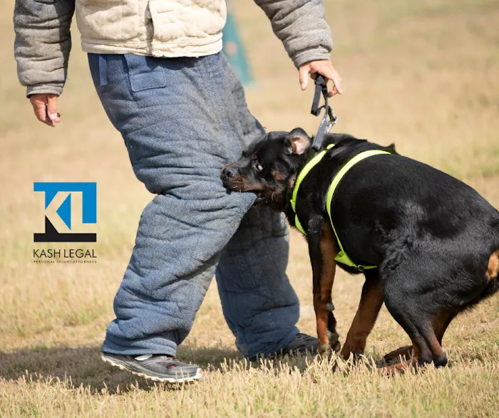 Kash Legal Group - Cupertino Personal Injury and Accident Lawyers Picture 2