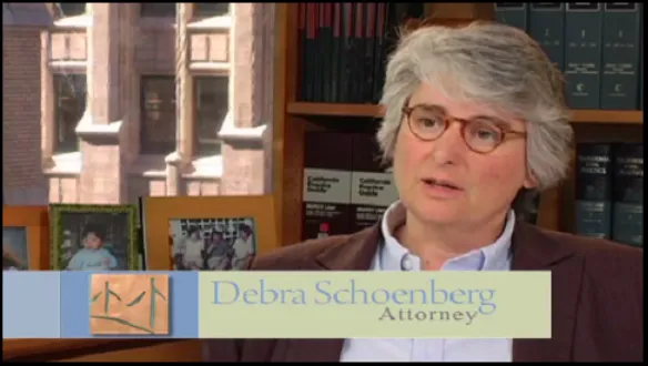 Schoenberg Family Law Group, P.C. - Divorce Attorneys Picture 1