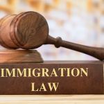 Law Offices of Veronica Panov