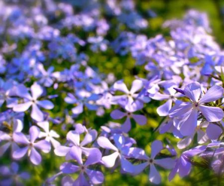Bryant Estate Planning & Elder Law
