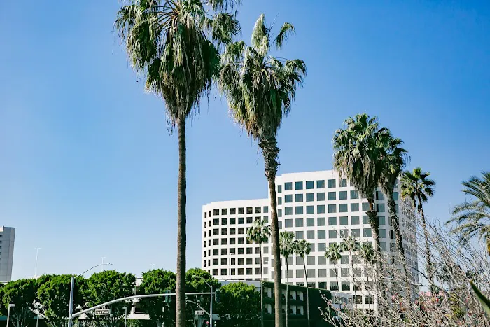 Alvandi Law Group, P.C. Picture 6