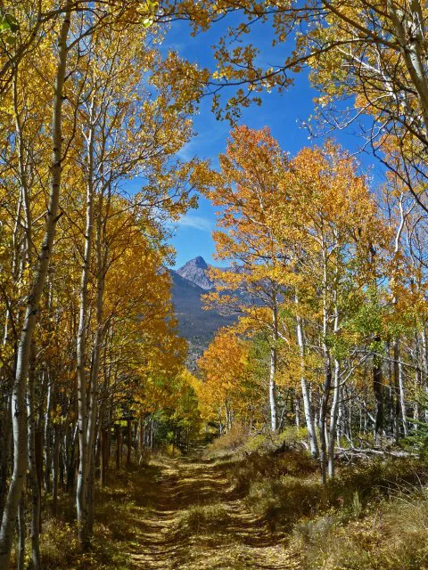 Buckley Law Picture 3