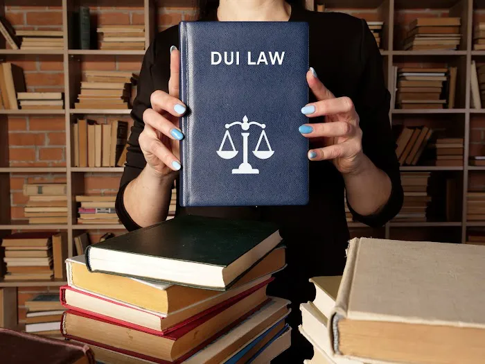 Geman Criminal Defense Picture 1