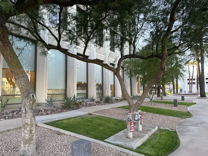 The Feldman Law Firm, PLLC Picture 10