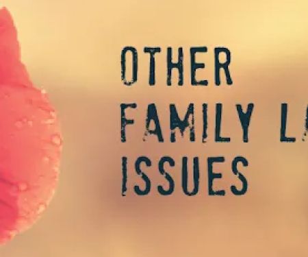 Hernandez Family Law